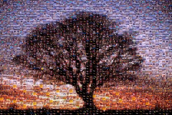 Vivid Sunset photo mosaic