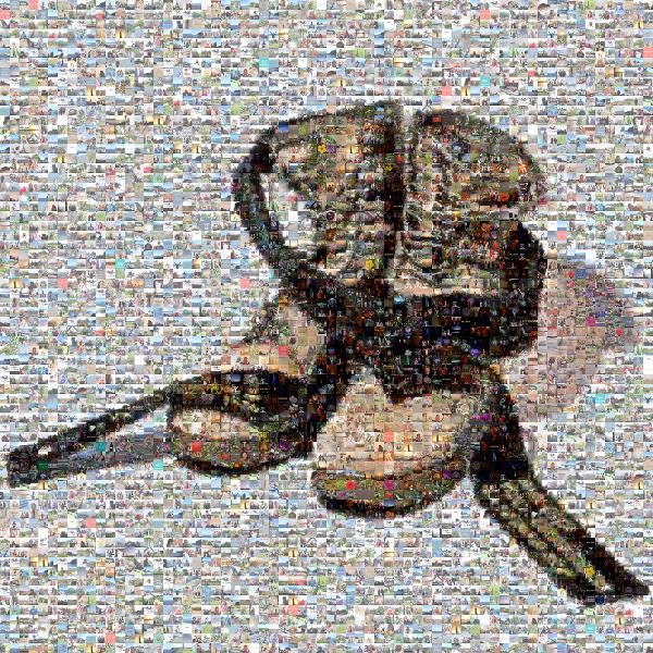 Silver Boots photo mosaic
