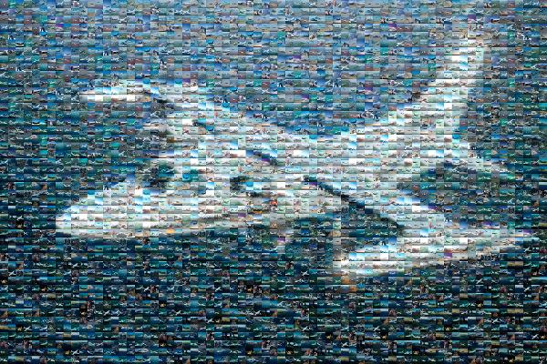 Airplane photo mosaic