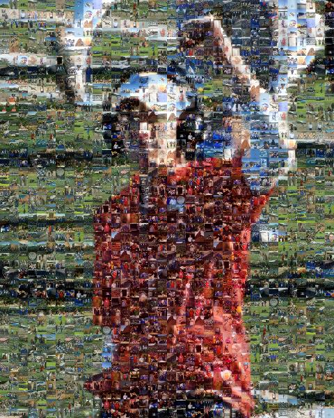 On the Field photo mosaic