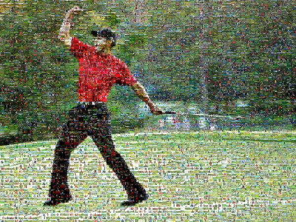 Tiger Woods photo mosaic