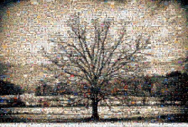 Winter Landscape photo mosaic