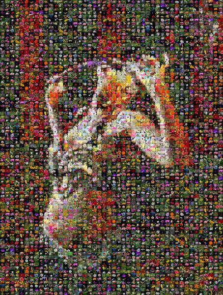 Performer photo mosaic