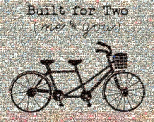 Built For Two photo mosaic