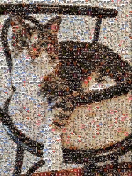 Timmy the Cat  photo mosaic