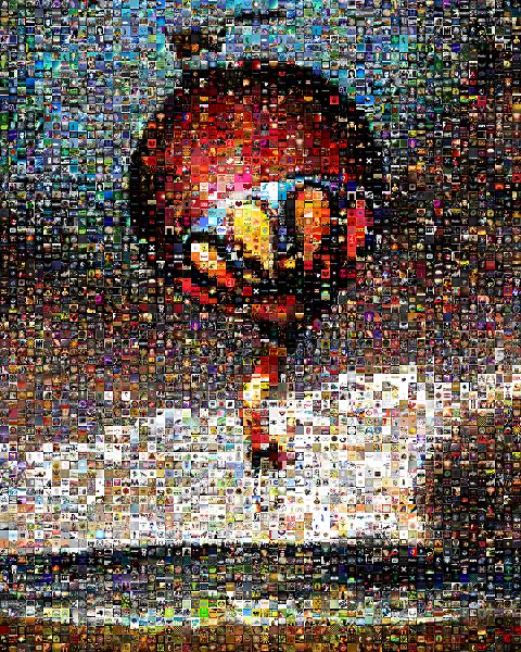 Album Cover photo mosaic