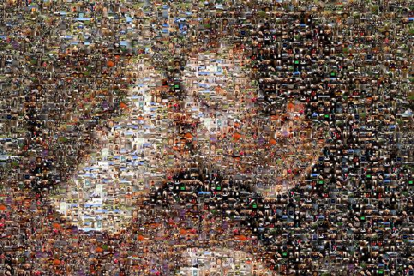 A Kiss for the Camera photo mosaic
