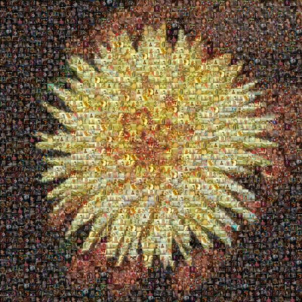 Beautiful Flower photo mosaic