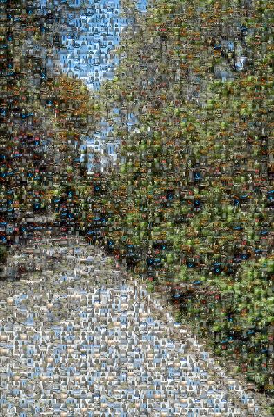 Park photo mosaic