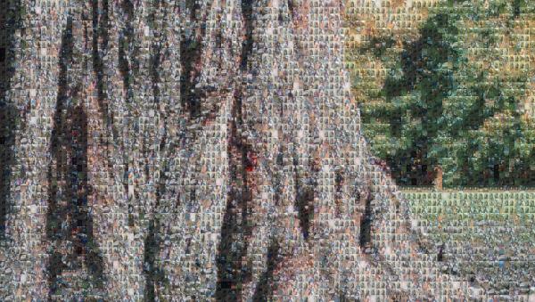 A Growing Tree photo mosaic