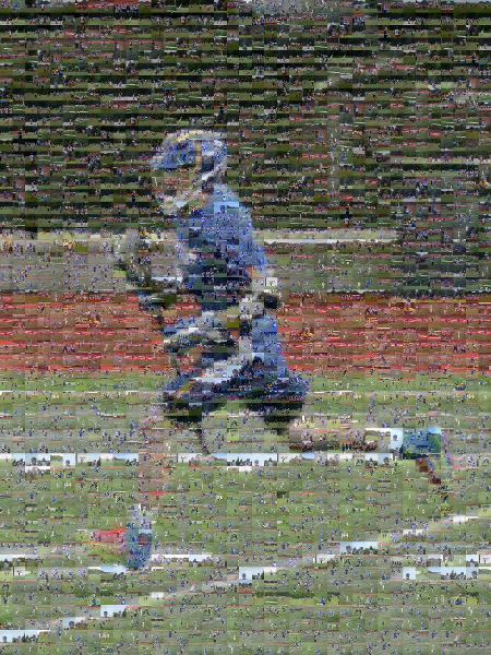 Lacrosse Player photo mosaic