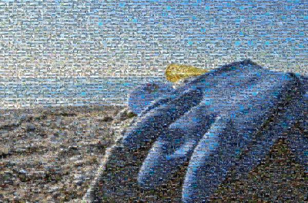 Greece Beach photo mosaic