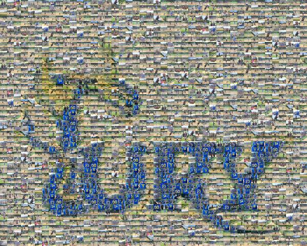 Fury Softball photo mosaic