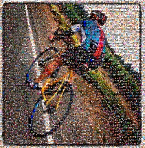 Bike Ride photo mosaic