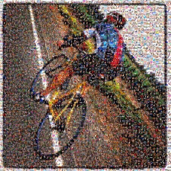 Cycle  photo mosaic