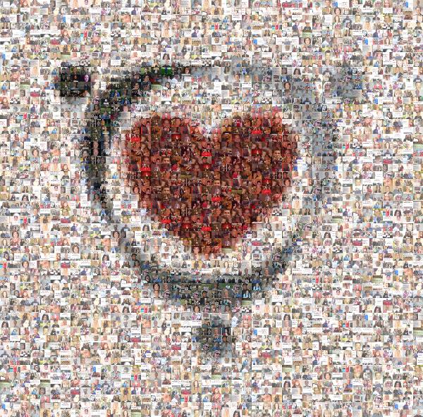 Heart Logo photo mosaic