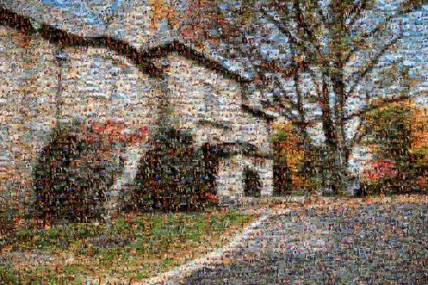 Autumn Street photo mosaic