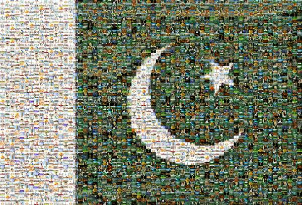 Pakistan Flag photo mosaic