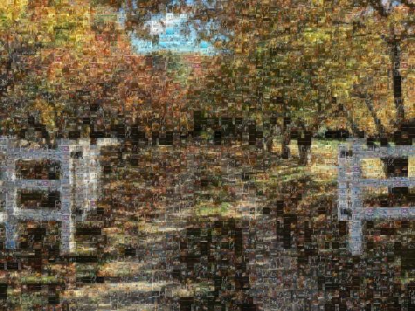 An Autumn Landscape photo mosaic