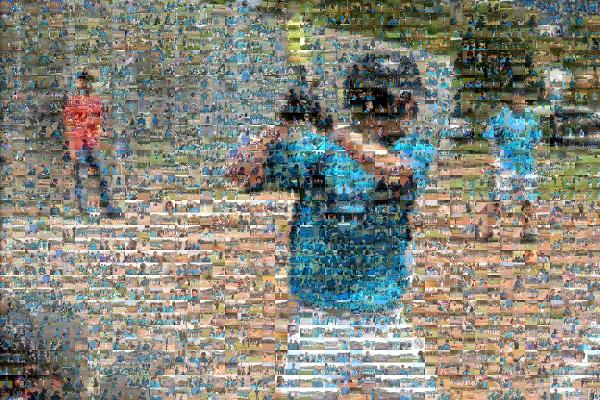 Baseball Player at Bat photo mosaic