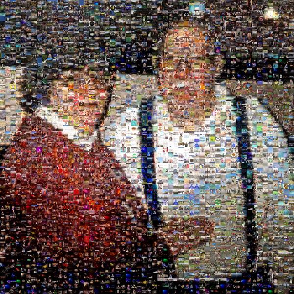 Jolly Couple photo mosaic