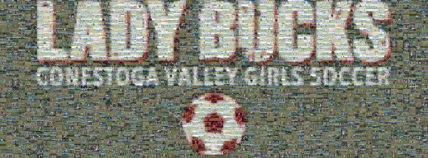 Lady Bucks Soccer photo mosaic