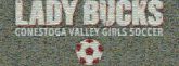 lady bucks conestoga valley girls soccer teams sports athletics football logos graphics text fonts words