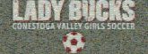 Lady Bucks Soccer lady bucks conestoga valley girls soccer teams sports athletics football logos graphics text fonts words