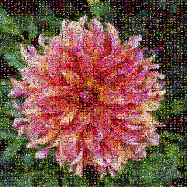 Vibrant Flower photo mosaic