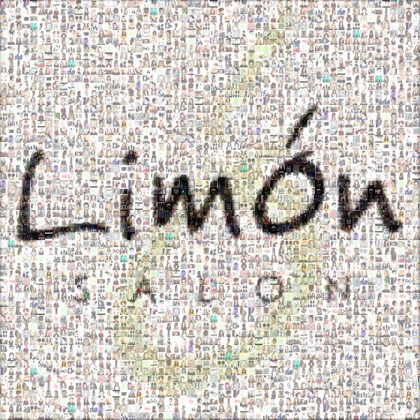 Limon Salon photo mosaic