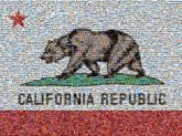 california pride flags bears illustrations graphics words text logos letters 