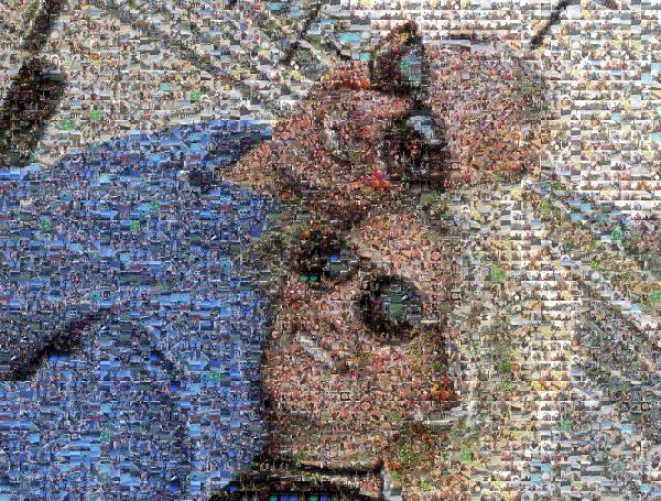 A Lighthearted Couple photo mosaic