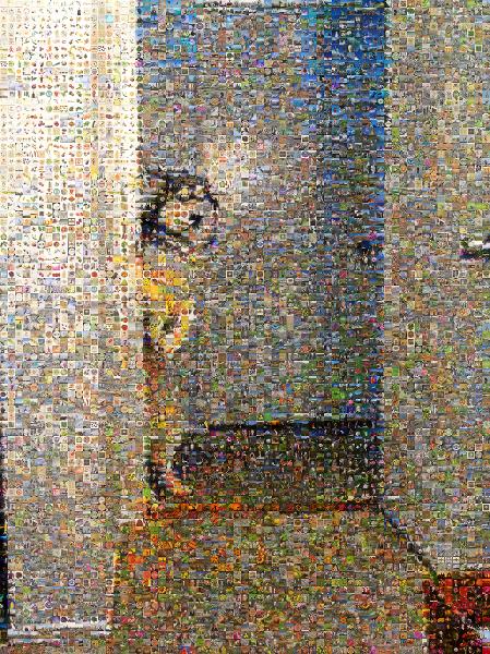 Standing Dog photo mosaic