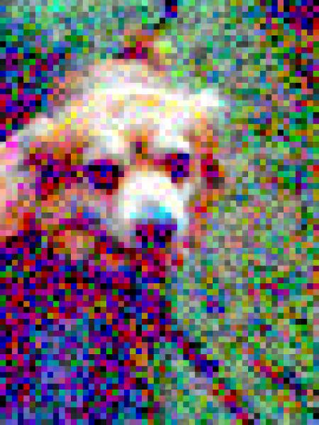 Color Blocked Dog photo mosaic