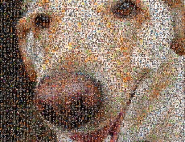 Up Close photo mosaic