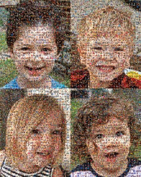 Cheek photo mosaic