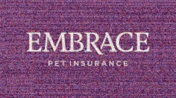 Embrace Pet Insurance photo mosaic