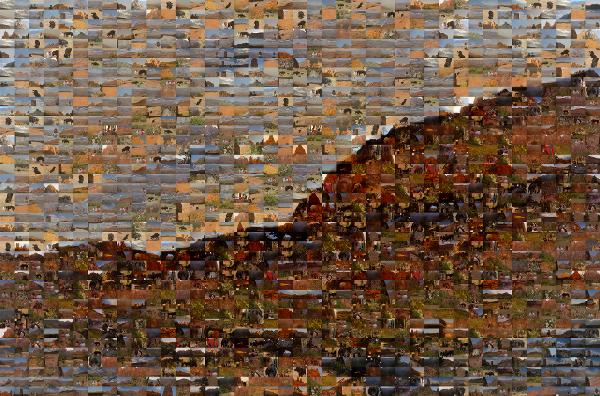 The Grand Canyon  photo mosaic