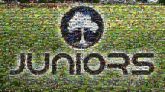 juniors lawn logos text companies organizations