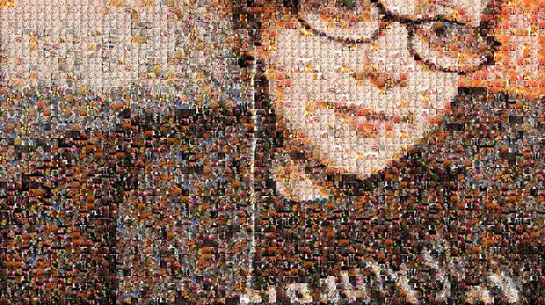 A Simple Selfie photo mosaic