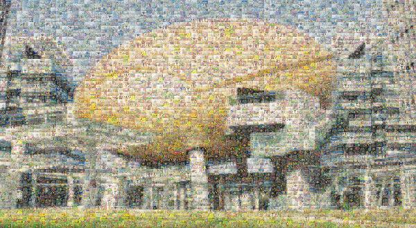 A Modern Building photo mosaic