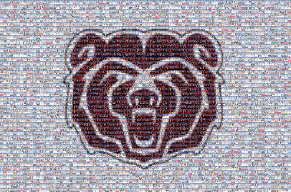 Bear Mascot photo mosaic