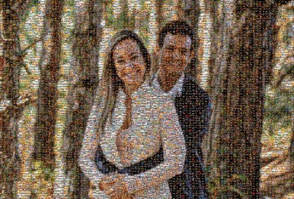 The Happy Couple! photo mosaic