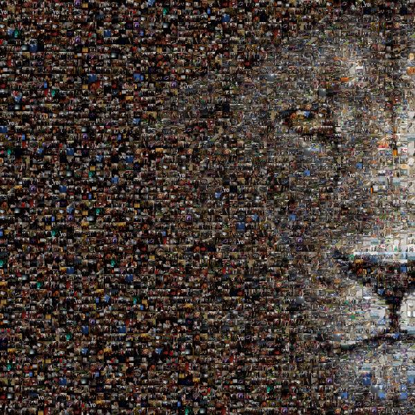 Lion Face photo mosaic