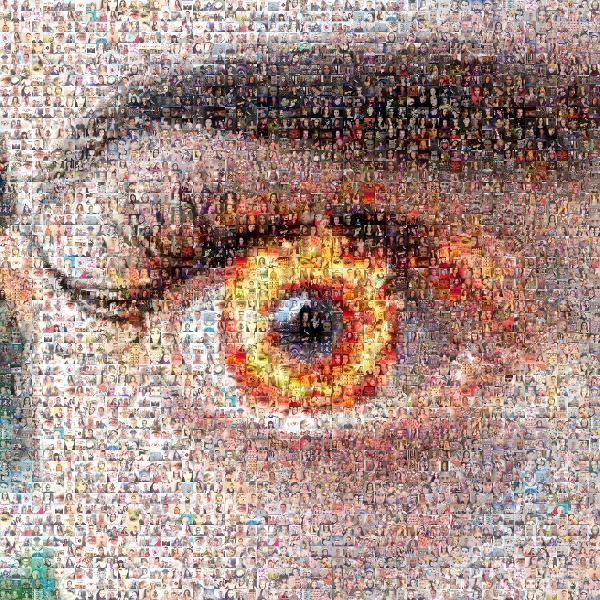 An Eye on Fire photo mosaic