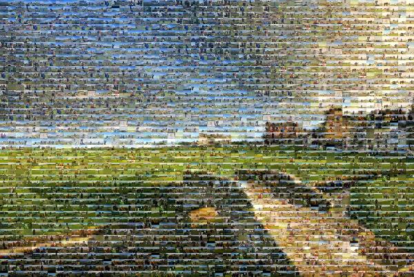 Swilcan Bridge photo mosaic
