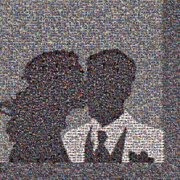 Couples Silhouette  photo mosaic
