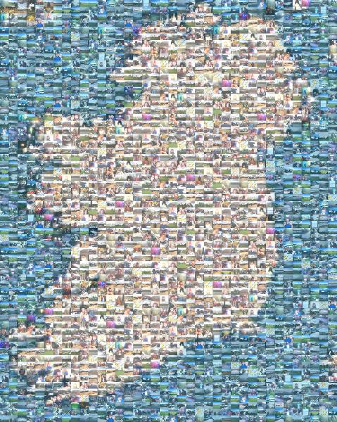Map of Ireland photo mosaic