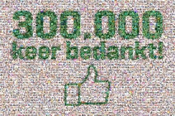 300,000 Likes photo mosaic