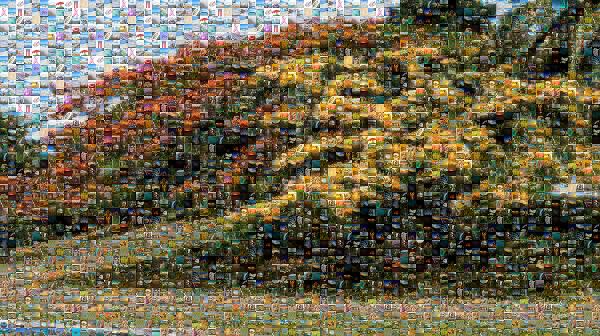 Landscape photo mosaic